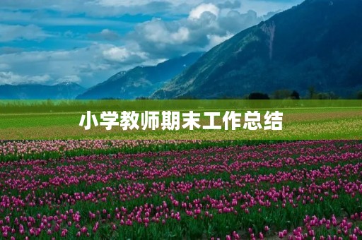 小学教师期末工作总结(7篇) 小学教师期末工作总结(7篇)