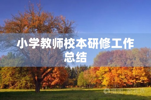 小学教师校本研修工作总结
