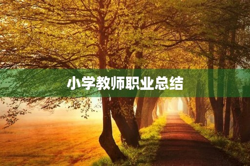 小学教师职业总结