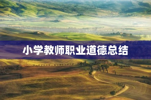 小学教师职业道德总结