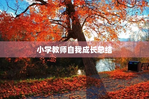小学教师自我成长总结