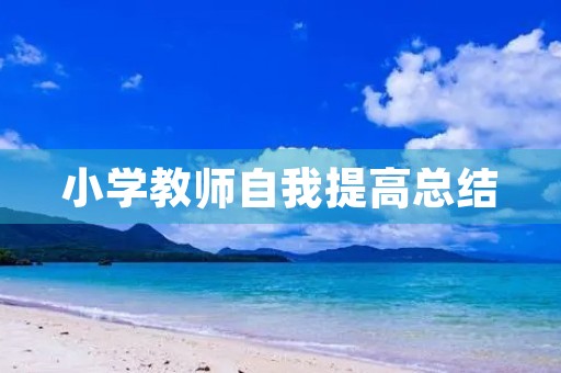 小学教师自我提高总结