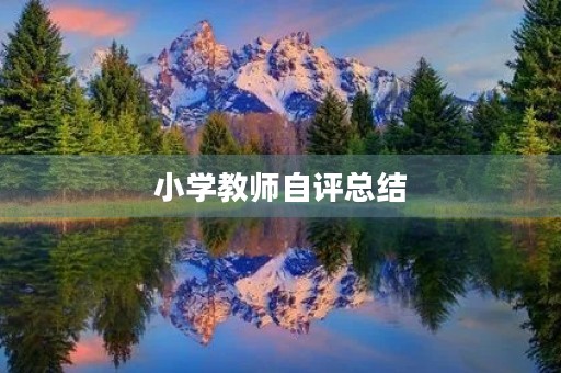 小学教师自评总结