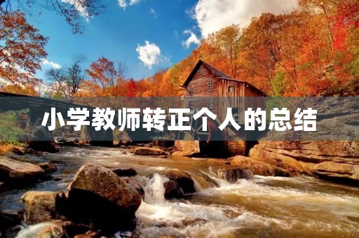 小学教师转正个人的总结