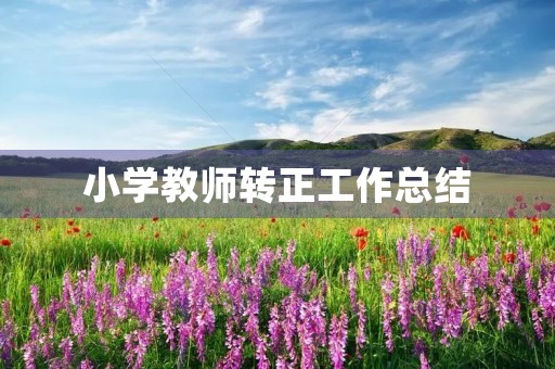 小学教师转正工作总结