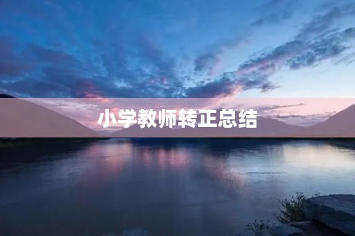 小学教师转正总结