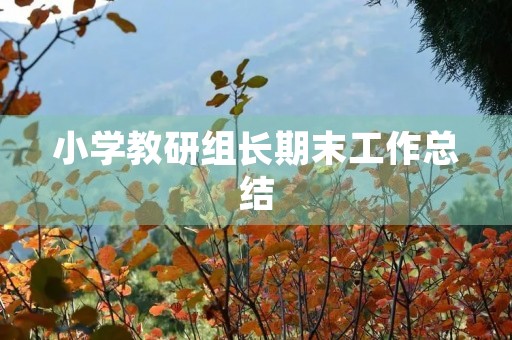 小学教研组长期末工作总结