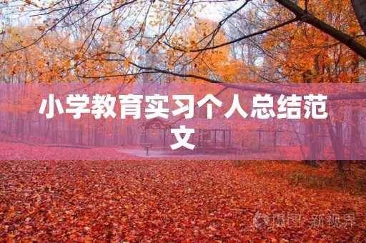 小学教育实习个人总结范文 小学教育实习个人总结范文