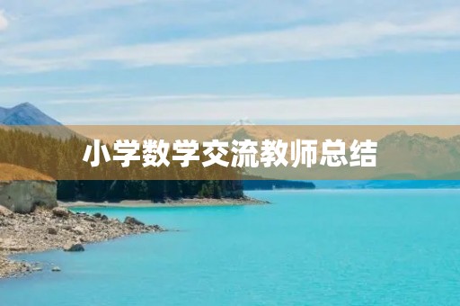 小学数学交流教师总结