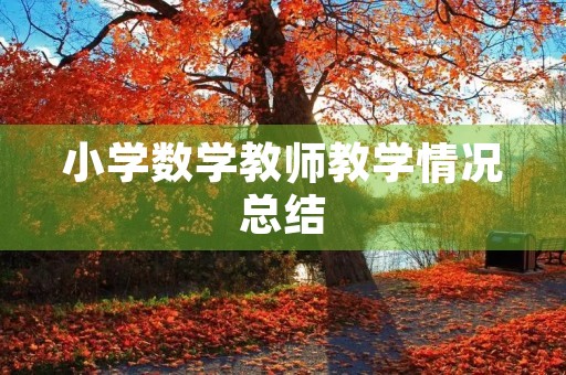 小学数学教师教学情况总结 小学数学教师教学情况总结