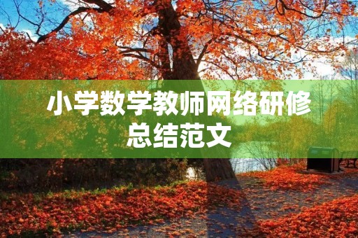 小学数学教师网络研修总结范文