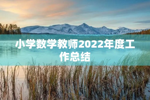 小学数学教师2022年度工作总结