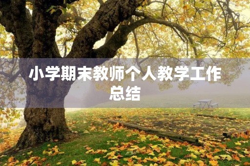 小学期末教师个人教学工作总结