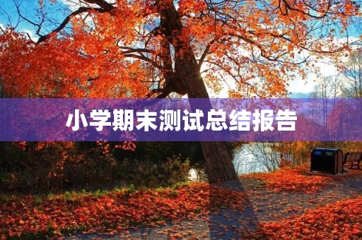 小学期末测试总结报告 小学期末测试总结报告