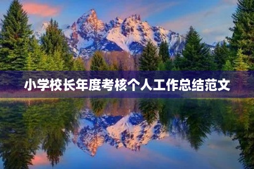 小学校长年度考核个人工作总结范文