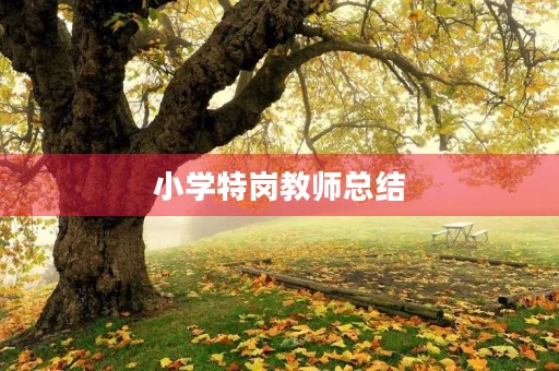 小学特岗教师总结