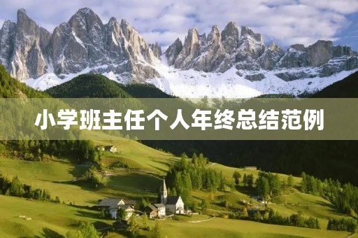 小学班主任个人年终总结范例