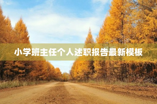 小学班主任个人述职报告最新模板
