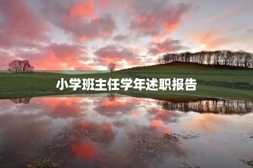 小学班主任学年述职报告（7篇）