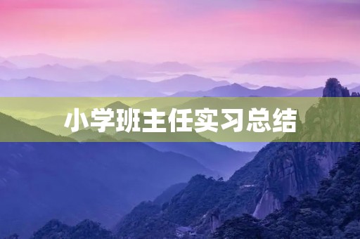 小学班主任实习总结