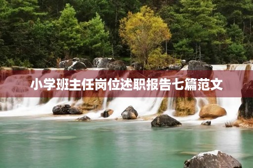 小学班主任岗位述职报告七篇范文