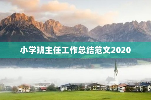 小学班主任工作总结范文2020