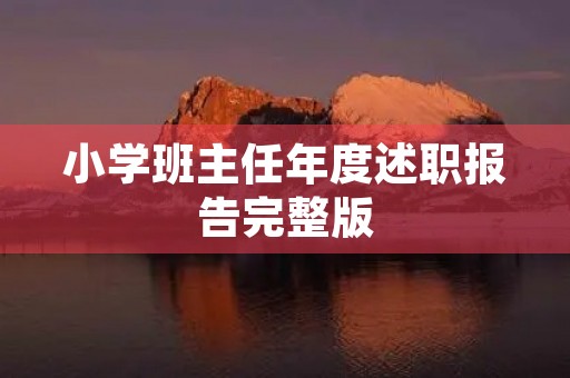 小学班主任年度述职报告完整版