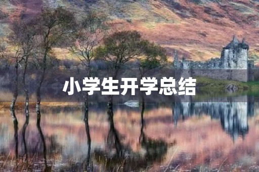 小学生开学总结