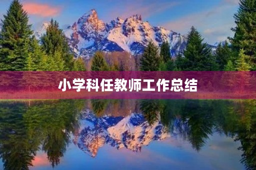 小学科任教师工作总结