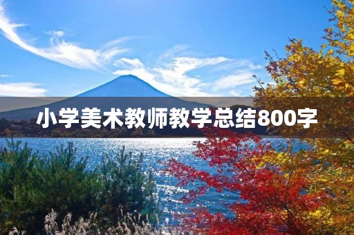 小学美术教师教学总结800字