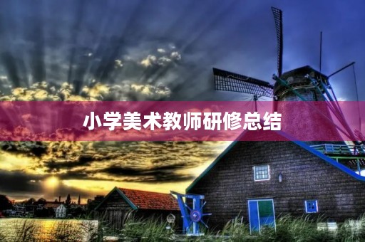 小学美术教师研修总结