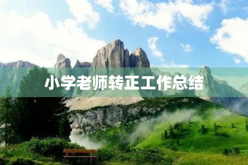 小学老师转正工作总结(7篇)