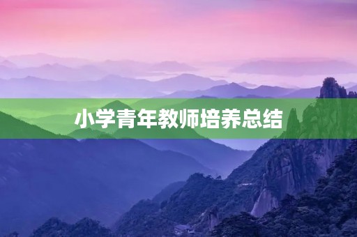 小学青年教师培养总结