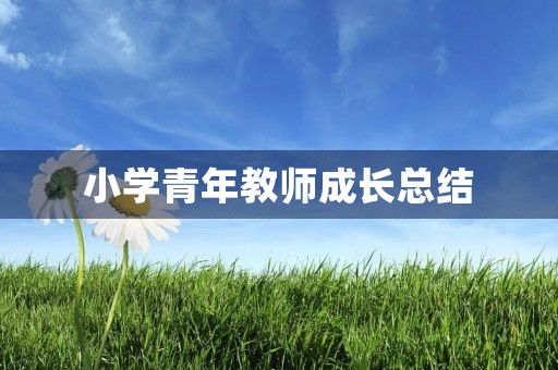 小学青年教师成长总结