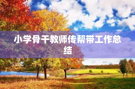小学骨干教师传帮带工作总结