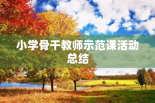 小学骨干教师示范课活动总结