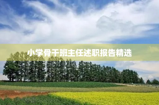 小学骨干班主任述职报告精选(10篇)