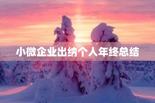 小微企业出纳个人年终总结