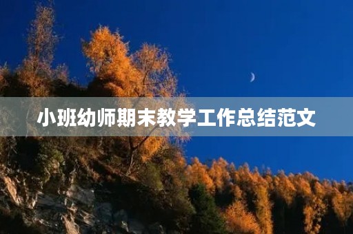 小班幼师期末教学工作总结范文