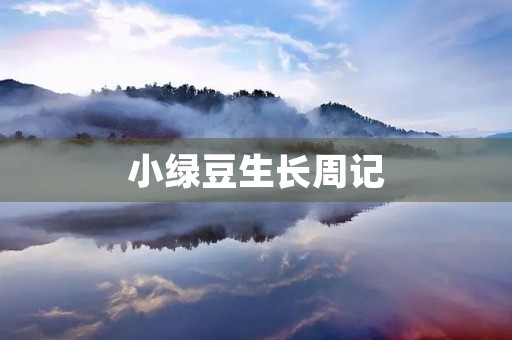 小绿豆生长周记 小绿豆生长周记
