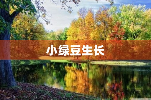 小绿豆生长 小绿豆生长
