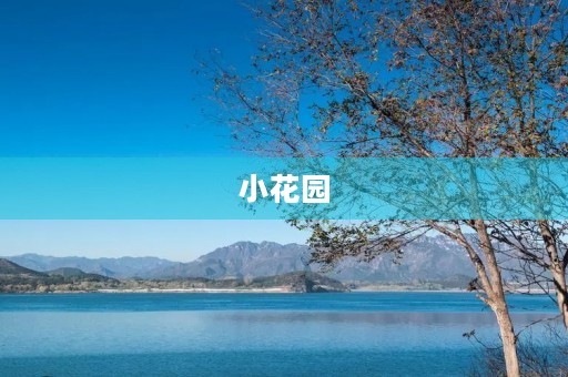 小花园