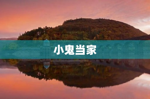 小鬼当家 小鬼当家