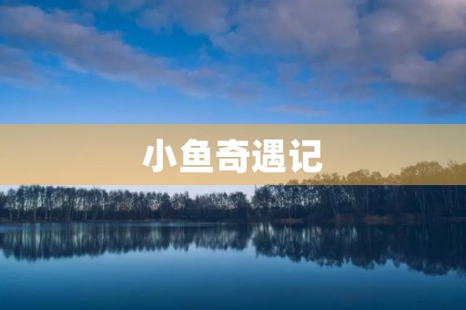 小鱼奇遇记 小鱼奇遇记