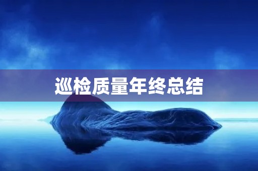 巡检质量年终总结 巡检质量年终总结