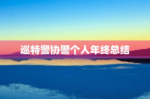 巡特警协警个人年终总结