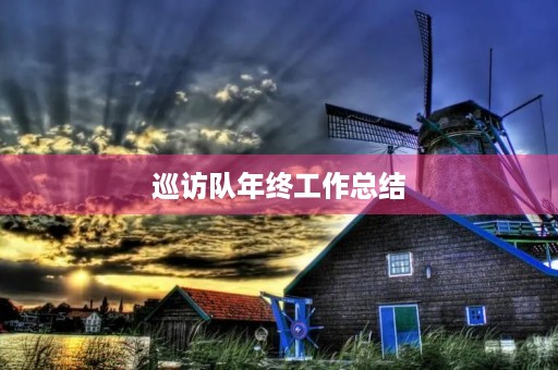 巡访队年终工作总结