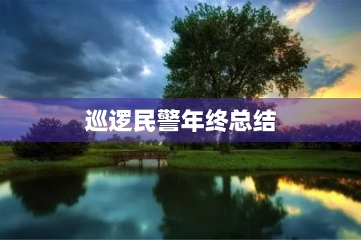 巡逻民警年终总结