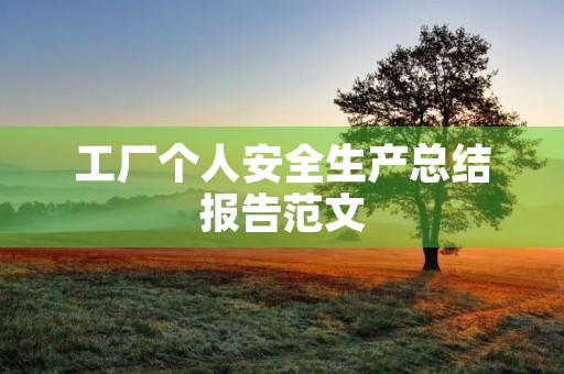 工厂个人安全生产总结报告范文