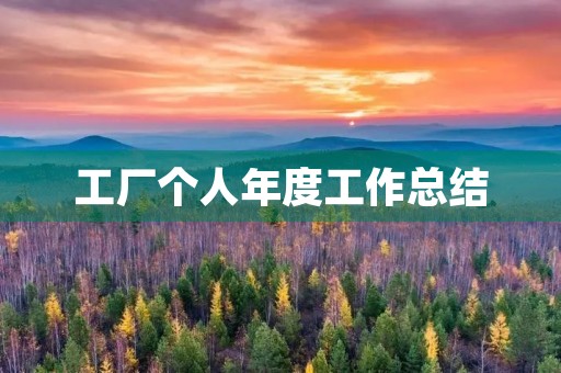 工厂个人年度工作总结